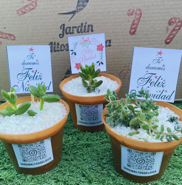 Souvenirs para eventos