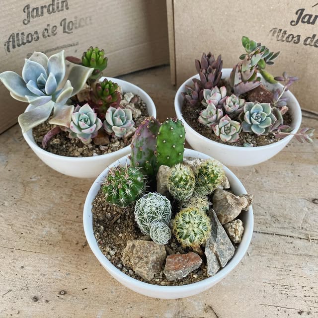Vivero y tienda
